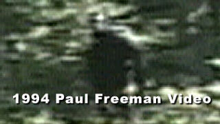 COLUMN:In the Shadows:The Paul Freeman footage
